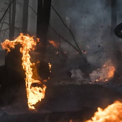 Nico Vink monta en bici en un bosque completamente en llamas