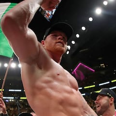 Canelo: “Podría noquear y hacerle un daño grave a GGG”