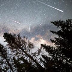 Leónidas 2022: fechas, horarios, cómo ver y cuándo es la lluvia de estrellas de noviembre