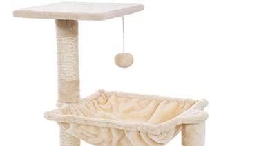 10 Juegos para entretener a mi gato