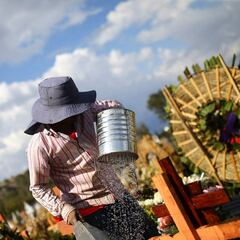 Coronavirus en México 26 de junio: últimas noticias, casos y muertes