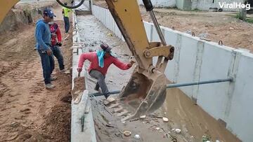 ¡Héroes! Así rescataron a un perro de una inundación