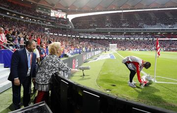 Fans pack the new stadium