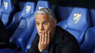 Sergio Pellicer, en el banquillo de La Rosaleda.