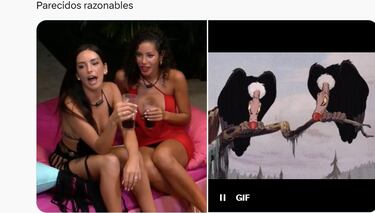 Los mejores memes de ‘La isla de las tentaciones’