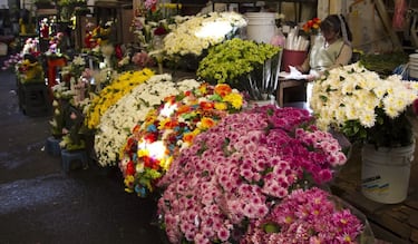 Estos son los mejores mercados en CdMx para comprar flores y regalar en el Día de las Madres este 2025