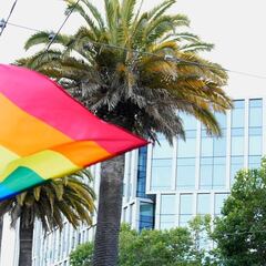 Personas transgénero jóvenes estadounidenses que abandonaron el país por temor a Trump: