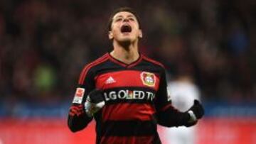 Javier Hern&aacute;ndez celebrando durante la Bundesliga