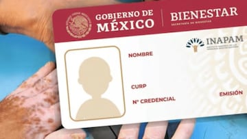 Aguinaldo INAPAM 2025: cuándo se entrega, quiénes lo recibirán y cuánto cobrarán adultos mayores