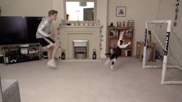 El gato viral que es comparado con Neuer, Oblak y Ter Stegen