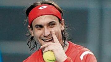 David Ferrer
