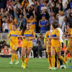 Tigres (1-0) Monterrey: Resumen del partido