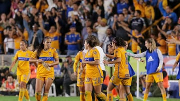 Tigres (1-0) Monterrey: Resumen del partido