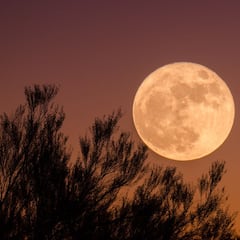 Luna de cosecha 2022: Fecha, hora y en qué estados de México se verá