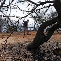 Los incendios en Grecia unen al mundo del baloncesto