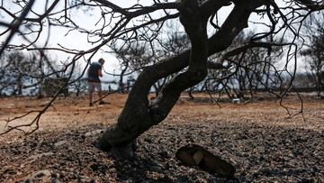 Imagen del incendio en Grecia.