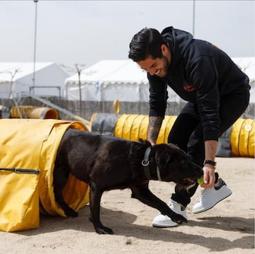 A Isco se le conocen varias aficiones. Le gusta practicar padel, es coleccionista y ama a los animales.