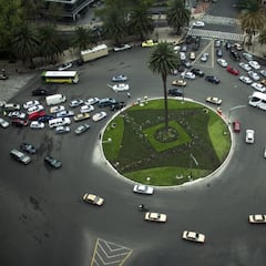 Palmera Glorieta de la Palma: Por qué será retirada y cuándo