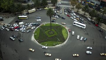 Palmera Glorieta de la Palma: Por qué será retirada y cuándo