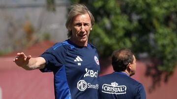 La gran preocupación de Ricardo Gareca en esta última fecha doble