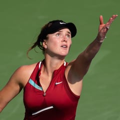 Russia invasion: Svitolina pledges prize money to Ukraine army