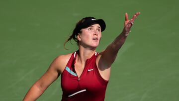 Russia invasion: Svitolina pledges prize money to Ukraine army