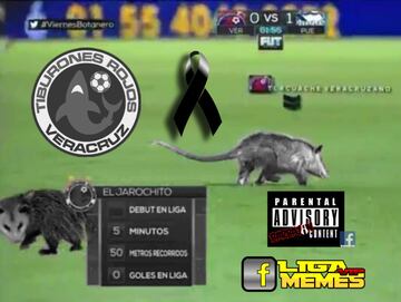 Los memes del descenso de Veracruz en Liga MX