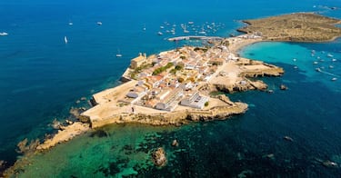 Nueva Tabarca, la isla española en la que viven más gatos que personas