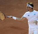 Ferrer, sexto de la ATP tras jugar la final en Hamburgo