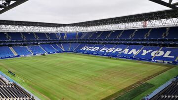 Regeneración RCDE Stadium Espanyol