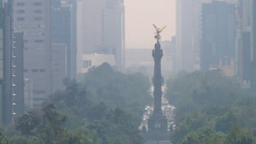 ¿Qué es una contingencia ambiental y cuántas fases tiene?: se activa en estos casos