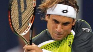 David Ferrer.