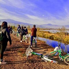 Rodada del Ajolote en Xochimilco 2025: cuándo es, a qué hora, ruta y costos