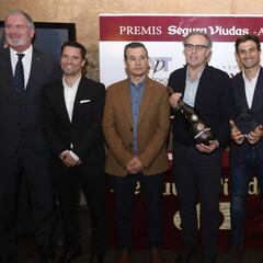 La Asociación de Periodistas de Tenis premia a David Ferrer