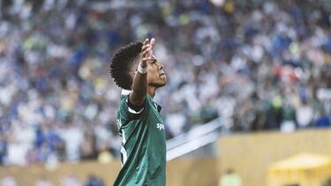 Valor de mercado: 60 millones de euros.