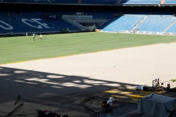 El nuevo césped del Santiago Bernabéu.