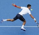 Djokovic prosigue su show y Tsonga despide a Carreño