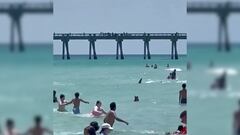 El aterrador momento en que un tiburón invade una playa de Miami
