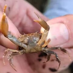 Hallazgo científico inédito en Antioquía