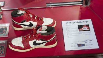 Un par de zapatillas de Nike, del legendario ex jugador de la NBA Michael Jordan, han sido vendidas en subasta por 560.000 d&oacute;lares