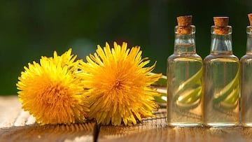 dandelion essential oil in a beautiful bottle on the table