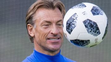 El seleccionador Renard, con ofertas de Egipto y Argelia