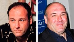 James Gandolfini es Anthony 'Tony' Soprano, el principal protagonista de la serie y jefe de la familia del crimen DiMeo/Soprano. James Gandolfini empezó como actor a finales de los años 80 para participar en películas como 'Shock! Shock! Shock!', 'Italian Movie', 'True Romance', 'Marea roja', 'Perdita Durango', '8mm', 'The Mexican', 'Lonely Hearts','In the Loop', 'Mátalos suavemente' o 'Sobran las palabras', además de producir varias series de éxito. James Gandolfini falleció en 2013 a la edad de 51 años por un ataque al corazón.