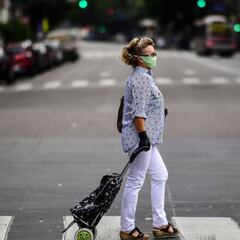 Coronavirus: ¿qué es la cuarentena vertical que le sugieren a Alberto Fernández?