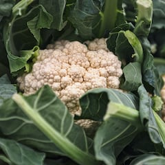 ¿Por qué la coliflor huele mal?