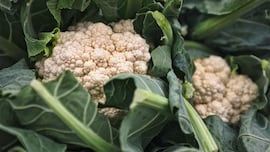 Los supermercados de Francia sufren un colapso de coliflor: “Es una crisis nunca vista”