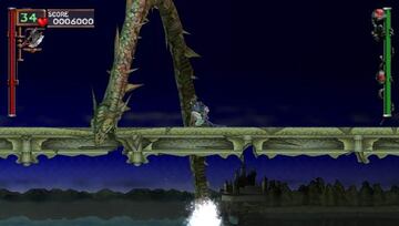 Captura de pantalla - castlevania_psp_10.jpg