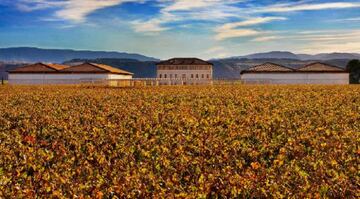 Contágiate de los beneficios y valores del vino Rioja Vega.