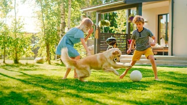 Quien tiene un perro de caza tiene un tesoro
