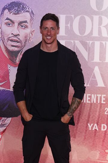 Fernando Torres.